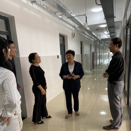 dp��������(�й�)�ٷ���վ