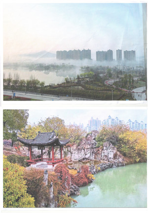 dp��������(�й�)�ٷ���վ