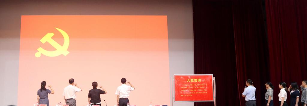 dp��������(�й�)�ٷ���վ