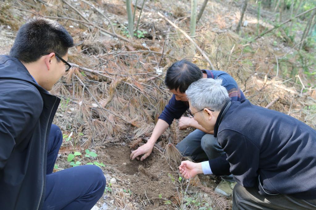 dp��������(�й�)�ٷ���վ