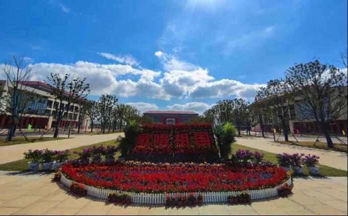 dp��������(�й�)�ٷ���վ