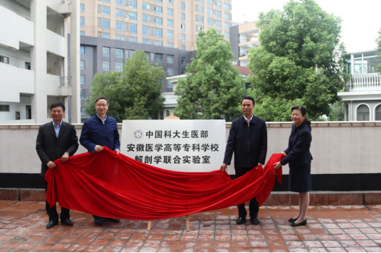 dp��������(�й�)�ٷ���վ