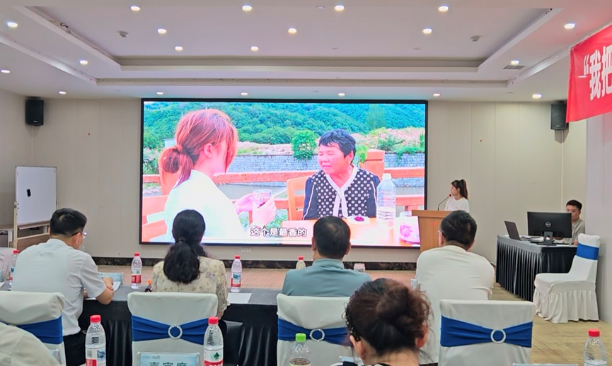 dp��������(�й�)�ٷ���վ