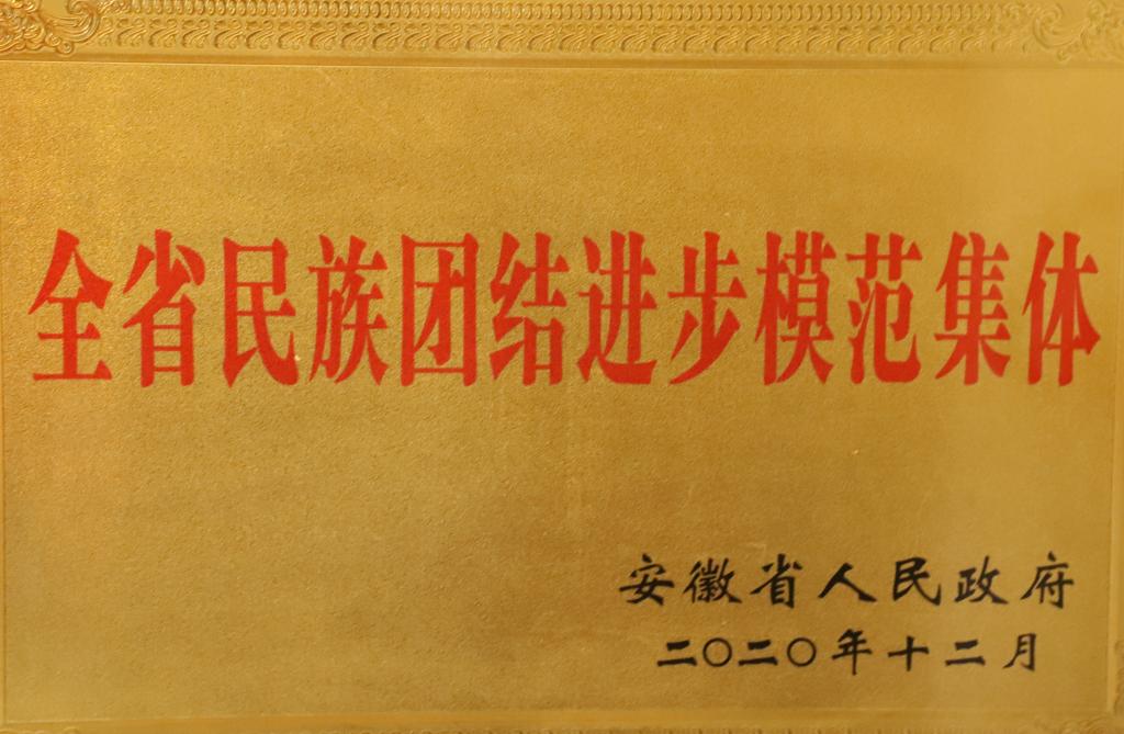 dp��������(�й�)�ٷ���վ