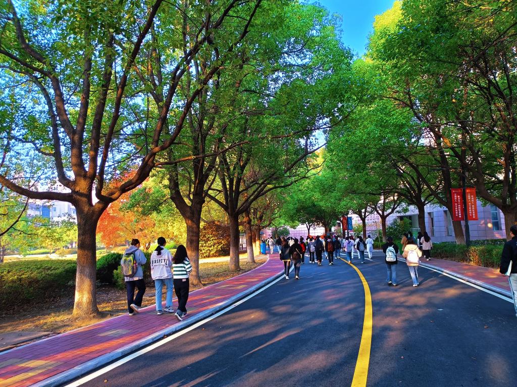 dp��������(�й�)�ٷ���վ