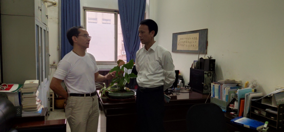 dp体育官网(中国)官方网站